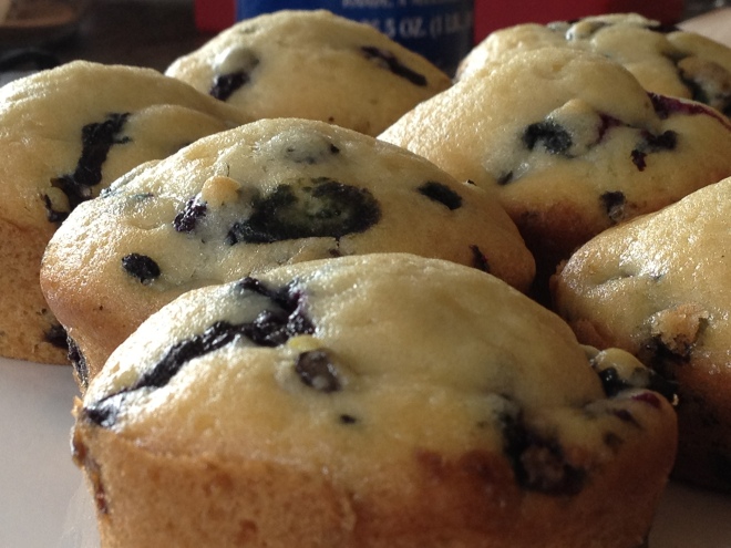 Vegan Blueberry Muffin 