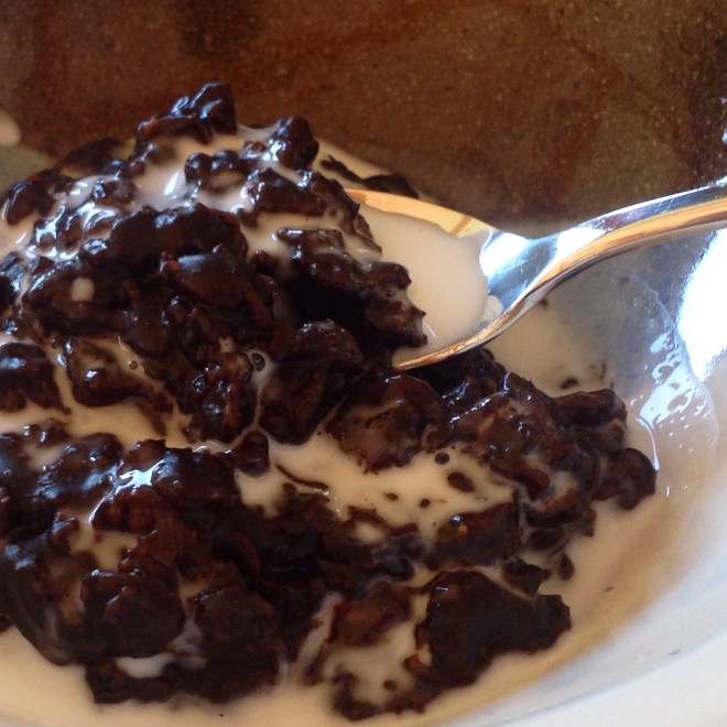 Vegan Chocolate Peanut Butter Oatmeal