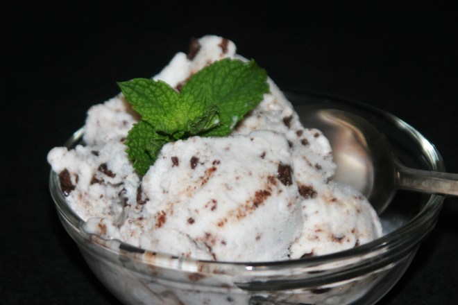 Vegan Mint Chocolate Chip Ice Cream