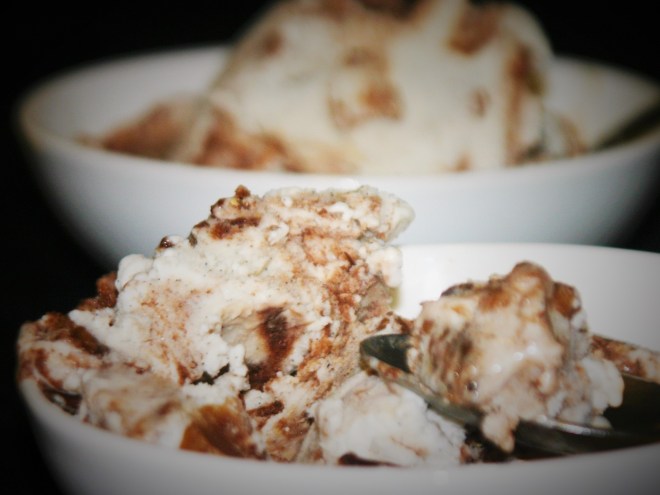 Vegan Chocolate Peanut Butter Cup Ice Cream