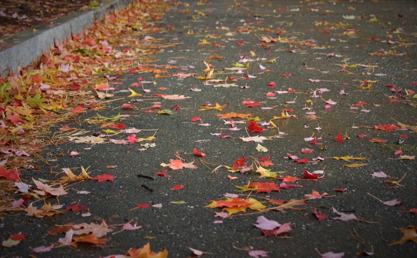 Just a few things I’m thankful for this&nbsp;Thanksgiving