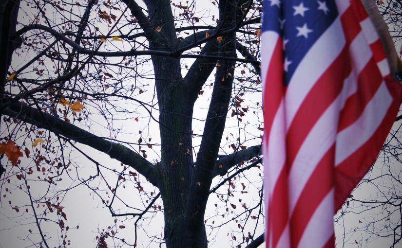 Wordless Wednesday 11/11/15