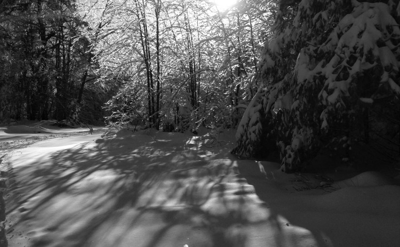 Wordless Wednesday 1/12/16