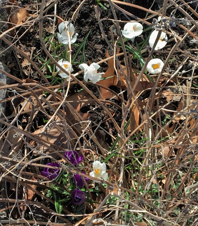 20160311_193013512_iOS (2)